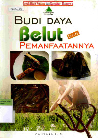 Budidaya Belut dan Pemanfaatannya